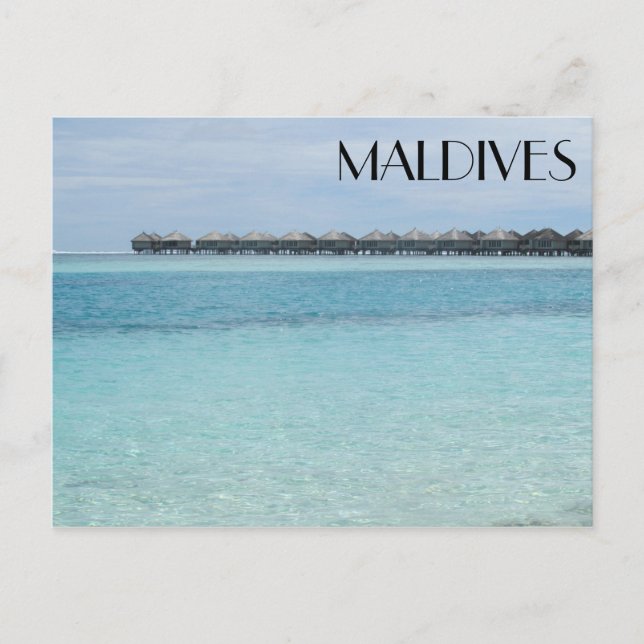 Carte Postale baudriers des maldives (Devant)