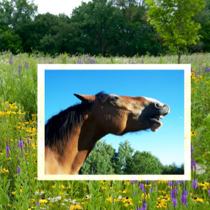 Carte Postale Bay Horse Whinnying in the Air