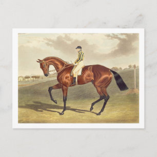 Carte Postale Bay Middleton, gagnant du Derby en 1836, après