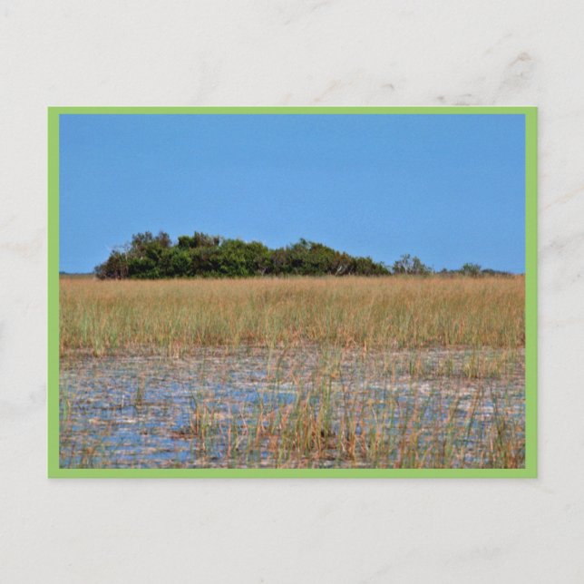 Carte Postale Bayhead à Sawgrass (Devant)