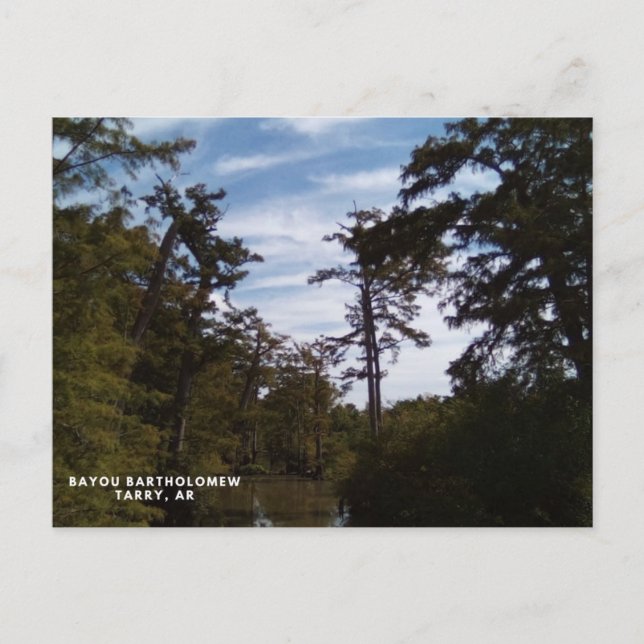 Carte Postale Bayou Batholomew, Tarry, AR (Devant)
