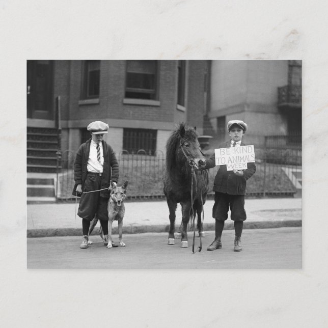 Carte Postale Be Kind to Animals Week, 1923 (Devant)