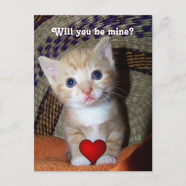 Carte Postale Be Mine Kitten (Devant)