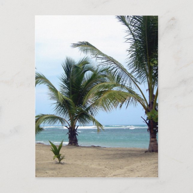 Carte Postale Beach (Devant)