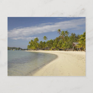 Carte Postale Beach and palm trees, Plantation Island Resort