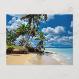 Carte Postale Beach Ocean Photo 168