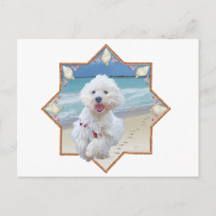 Carte Postale Beach Run