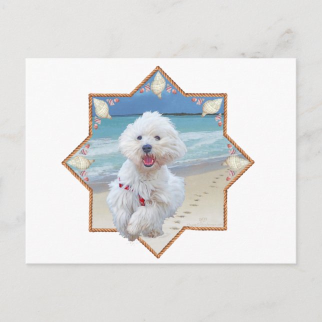 Carte Postale Beach Run (Devant)