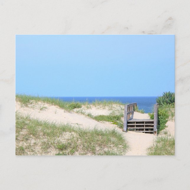 Carte postale Beach Steps (Devant)