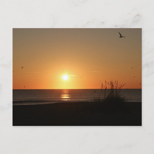 Carte Postale Beach Sunrise (Devant)