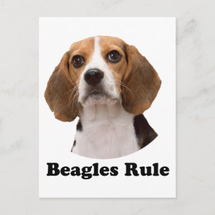 Carte Postale Beagle