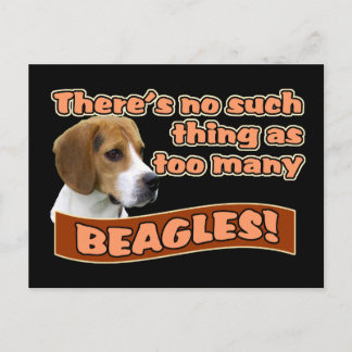 CARTE POSTALE BEAGLE