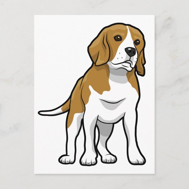 Carte Postale Beagle Brown et blanc (Devant)