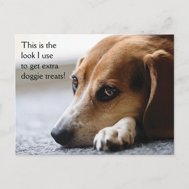 Carte postale Beagle "Extra Doggie Treats" (Devant)