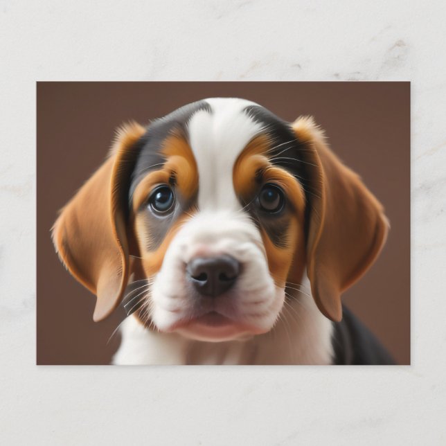 Carte Postale Beagle Puppy (Devant)