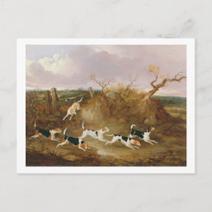 Carte Postale Beagles en Plein Cry, 1845 (huile sur toile)