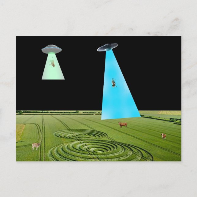 Carte Postale Beaming Up the Beef Postcard (Devant)