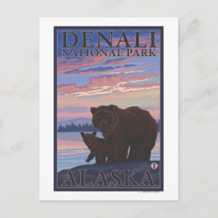 Carte Postale Bear and Cub - Denali National Park, Alaska