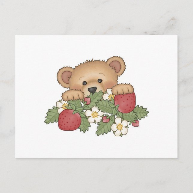 Carte Postale Bear Teddy cueillir des fraises (Devant)