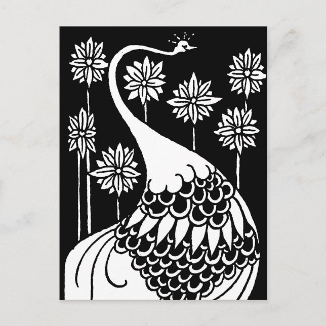 Carte postale Beardsley Peacock (Devant)