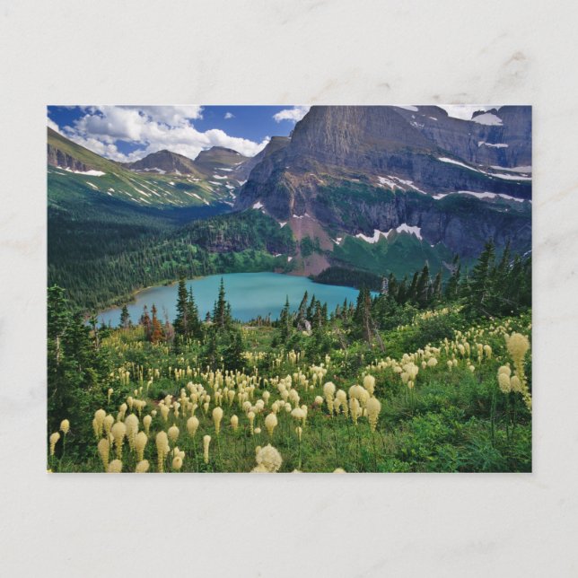 Carte Postale Beargrass au-dessus du lac Grinnell dans le (Devant)