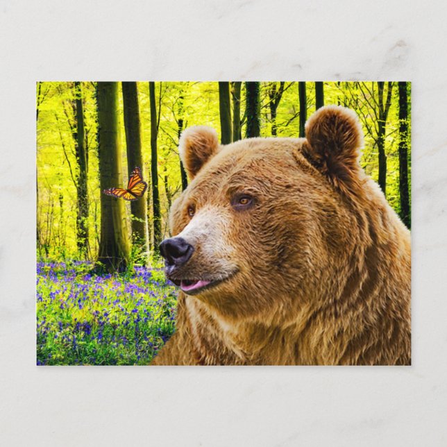 Carte Postale "Bear's Delight" (Devant)