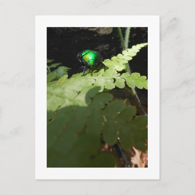 Carte postale Beatle brillant (Devant)