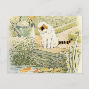 Carte Postale Beatrix Potter - Chat Blanc