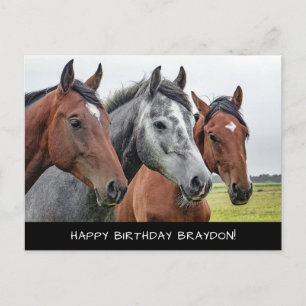 Carte Postale Beau anniversaire de chevaux