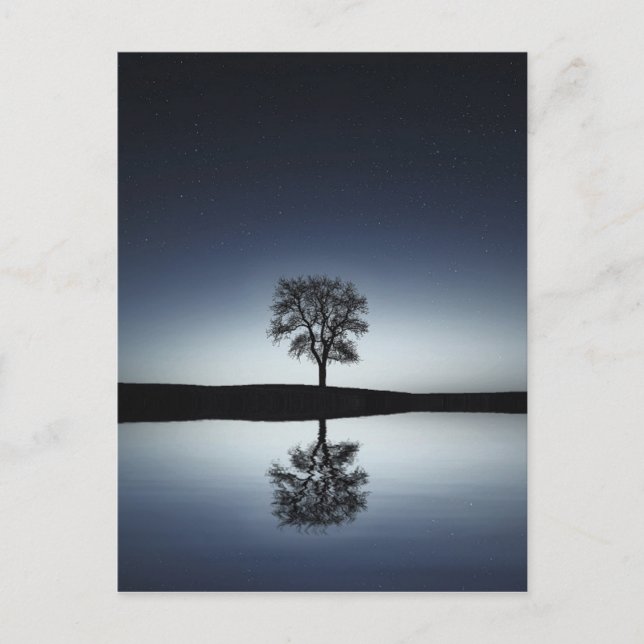 Carte Postale Beau arbre solitaire reflété dans le lac de nuit (Devant)