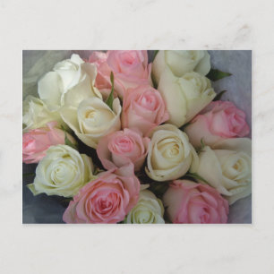 Carte Postale Beau Bouquet de fleurs roses blanches roses roses 
