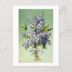 Carte postale : Beau bouquet de lavande