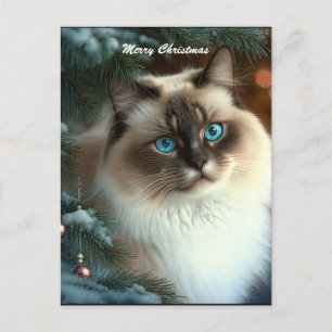Carte Postale Beau chat de Noël