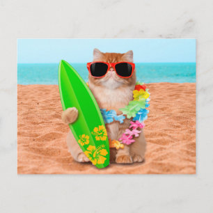 Carte Postale Beau chat surfeur sur la plage
