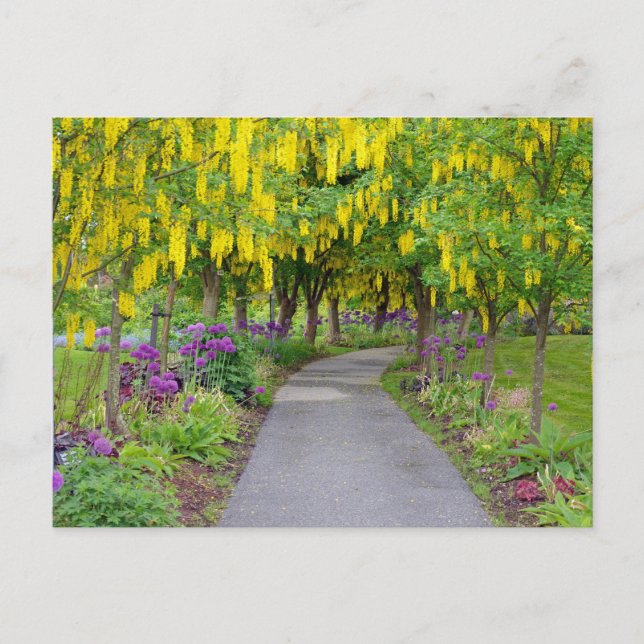 Carte Postale Beau chemin de jardin de printemps (Devant)
