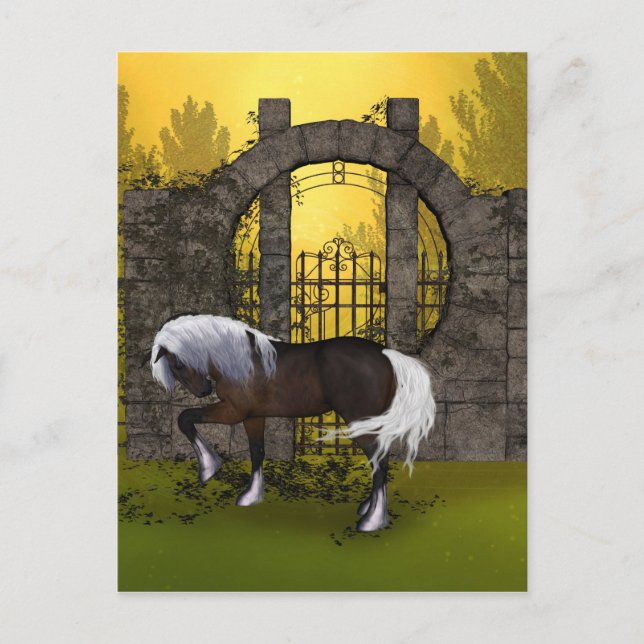 Carte Postale Beau cheval (Devant)