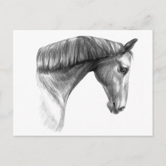 Carte Postale Beau cheval foncé vintage