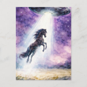 Carte Postale Beau Cheval Noir et OVNI