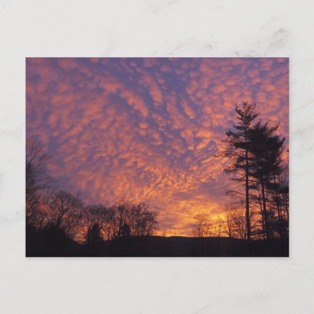 Carte Postale Beau ciel de lever de soleil avec nuages Photo (Devant)