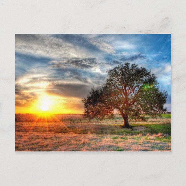 Carte Postale Beau coucher de soleil (Devant)