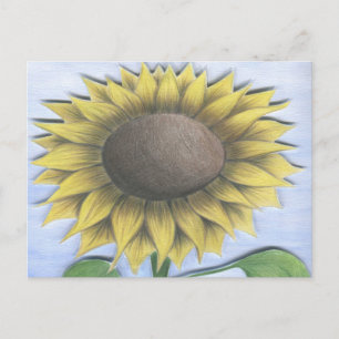 Carte Postale Beau Dessin De Tournesol