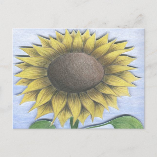 Carte Postale Beau Dessin De Tournesol (Devant)