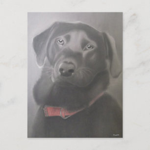 Carte Postale Beau dessin du Labrador Retriever