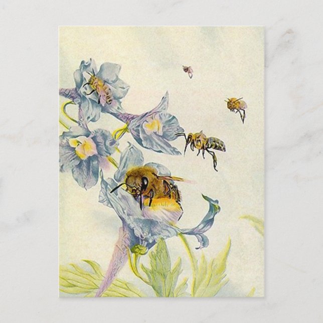CARTE POSTALE BEAU HONEYABES NATURE BEEKEEPERS HONEY POSTCARDS (Devant)