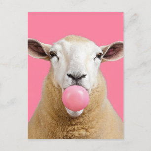 Carte Postale Beau Imaginaire Blanc Mouton Chewing Bubble Gum