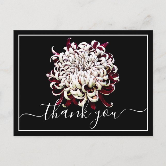 Carte Postale Beau Merci Chrysanthemum Rouge Et Blanc (Devant)