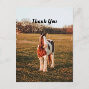 Carte Postale Beau Merci photo Brown Paint Draft Horse