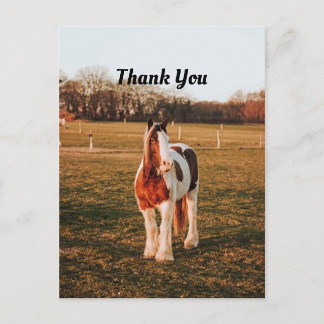 Carte Postale Beau Merci photo Brown Paint Draft Horse (Devant)