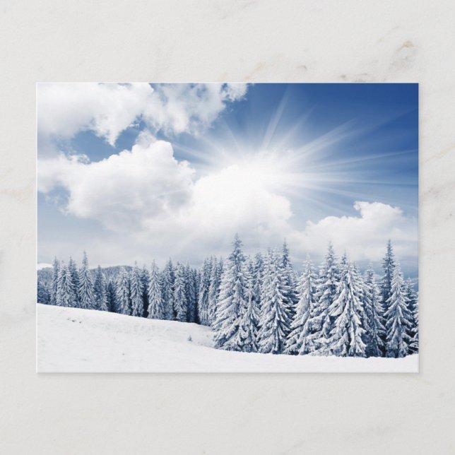 Carte Postale Beau Paysage D'Hiver Avec Neige (Devant)