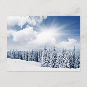Carte Postale Beau Paysage D'Hiver Avec Neige